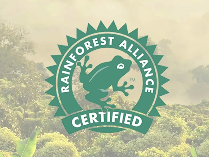 Rainforest Alliance: Защита природы и качества