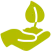 hand with plant